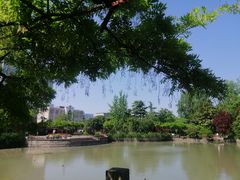 -嘉定紫藤园