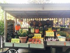 小铺-The Grounds of Alexandria