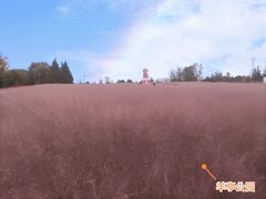 -羊亭河湿地公园