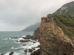 -杨梅坑