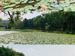 -水濂山森林公园