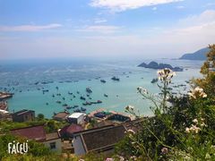 -枸杞岛
