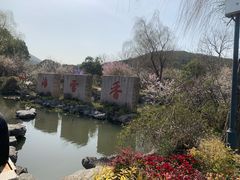 -香雪海