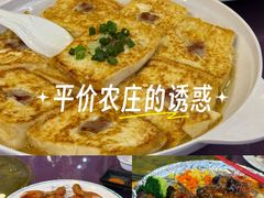 -绿雅居原生态农庄(小涌店)