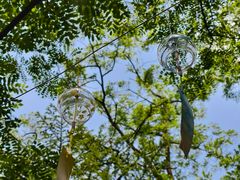 -鲁山国家森林公园