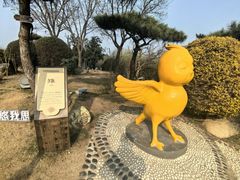 -诗经里
