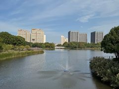 -南翔镇银翔湖公园