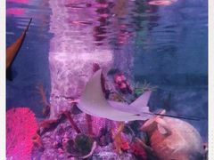 -沈阳海洋探索中心