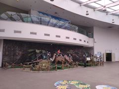 -陕西自然博物馆