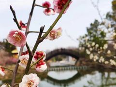 -蜀冈西峰生态公园