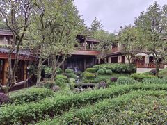 -青城山六善酒店·紫氣園中餐厅