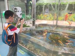 -上海大自然野生昆虫馆(东方明珠·爬宠昆虫探索中心)