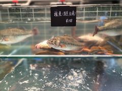 -明丰小渔馆(明月路店)
