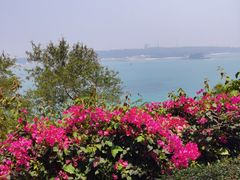 -涠洲岛火山国家地质公园