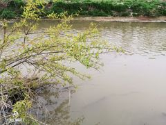 -洨河生态公园
