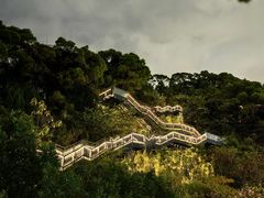 -福道
