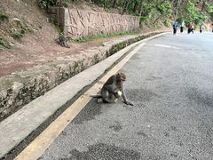 -黔灵山公园