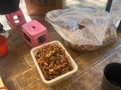 -山大王菌莊