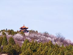 -白水寺森林公园