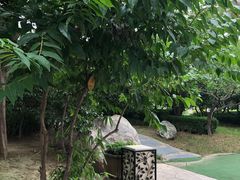 -怡咖啡·自助餐·西安香格里拉