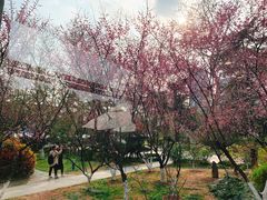 -USTC1958东区·by UNILAB