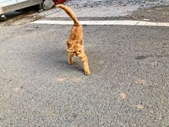 -百里峡七彩艺术小镇