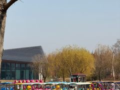 -上海长兴岛郊野公园