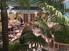 -春润大地海南椰子鸡(沙井京基百纳广场店)