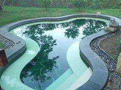 -东海森林温泉