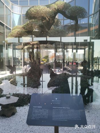 东方美谷JW万豪酒店言轩中餐厅，港式牛筋牛腩太OK啦！