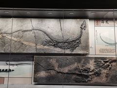 -贵州省地质博物馆
