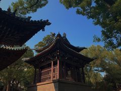 -晋祠公园