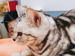 -北京博爱动物医院有限公司