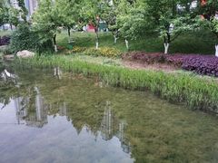 -花果园湿地公园