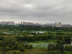 -哈尔滨大剧院