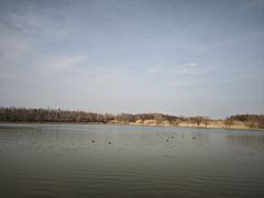 -溱湖国家湿地公园