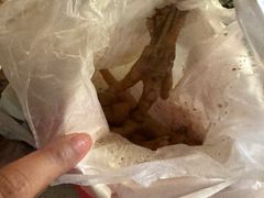 -鸡脚旮旯平江路店