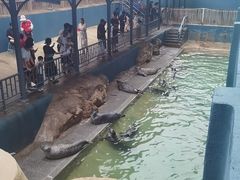 -蓬莱欧乐堡海洋极地世界