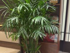 -俏东方·海味水饺·青岛菜(崂山店)