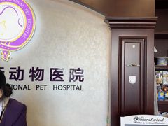 -宠爱国际动物医院·疑难骨科·心肾内科·皮肤科(太阳宫店)
