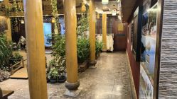 -小红帽摄影(丽江店)