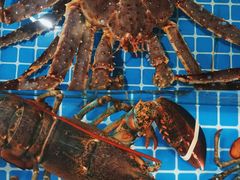 -三亚火车头万人海鲜广场