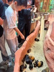 -Zoolung Zoolung动物主题公园(海信广场店)