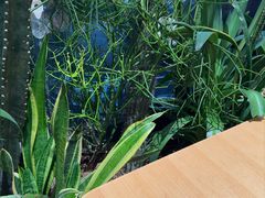 -隅乐胡椒虾·台湾菜·团建(皇岗店)