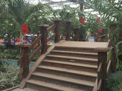 游乐设施-南宫五洲植物乐园