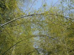 -陶祖圣境风景区