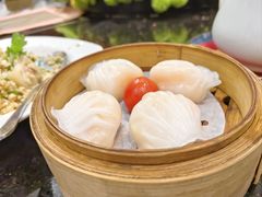 -东国海鲜火锅城(氹仔店)