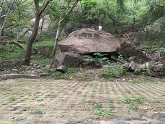 -北京凤凰岭