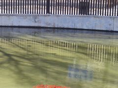 -白水寺森林公园