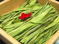-季季山·云南野生菌火锅(上海首店)